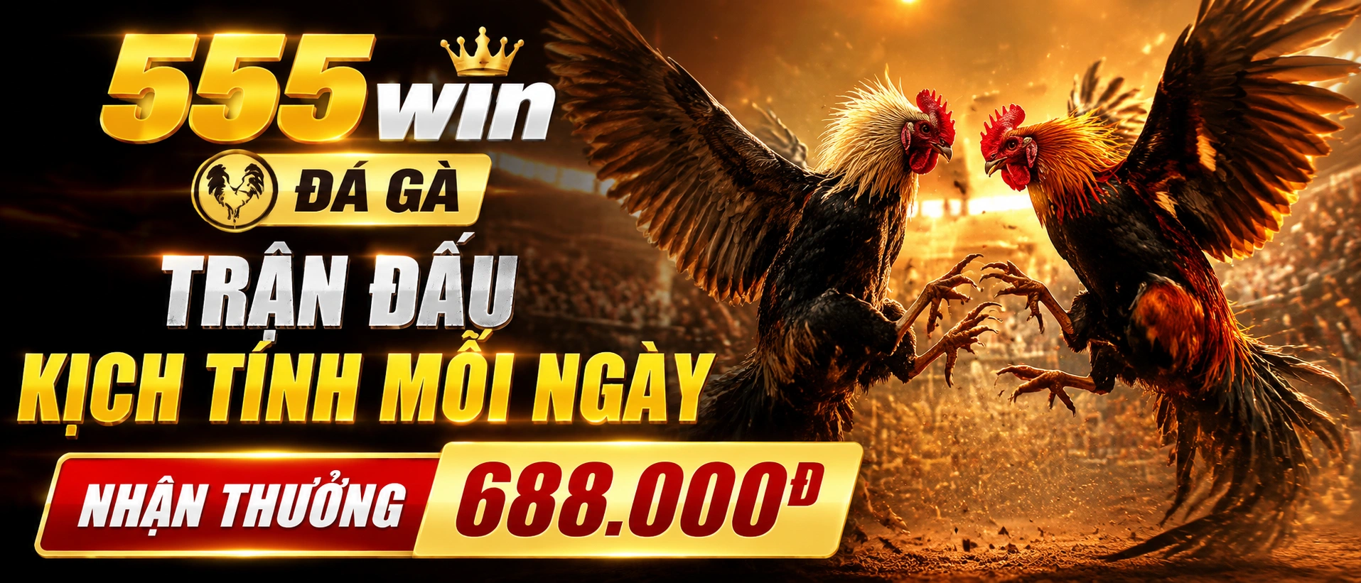 Đá Gà trực tiếp trên 555win.com.vc